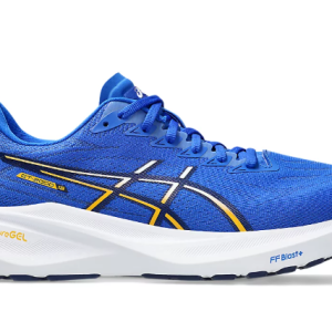 Asics Gt-2000 13