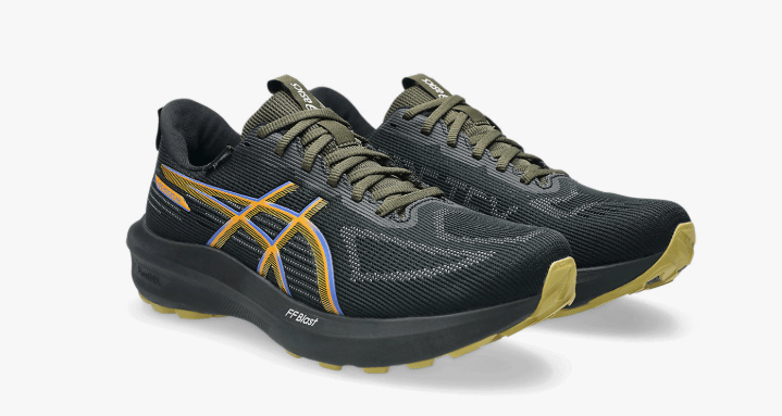 Asics GT-1000 14 GORE-TEX men's
