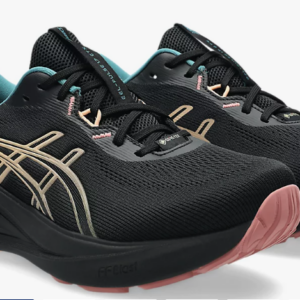 Asics Gel-Pulse 17 GORE-TEX